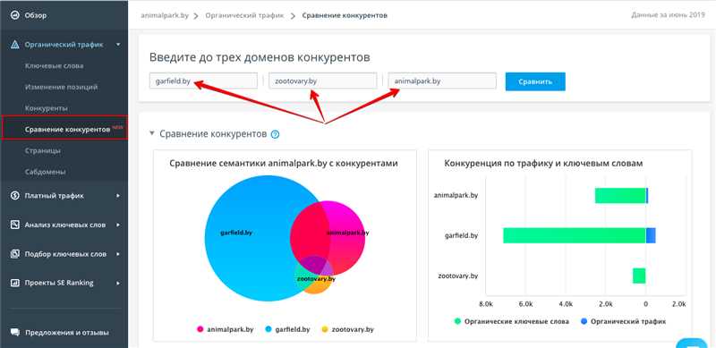 Органический трафик - определение и важность для веб-сайта